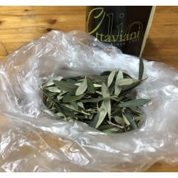 Olive leaves